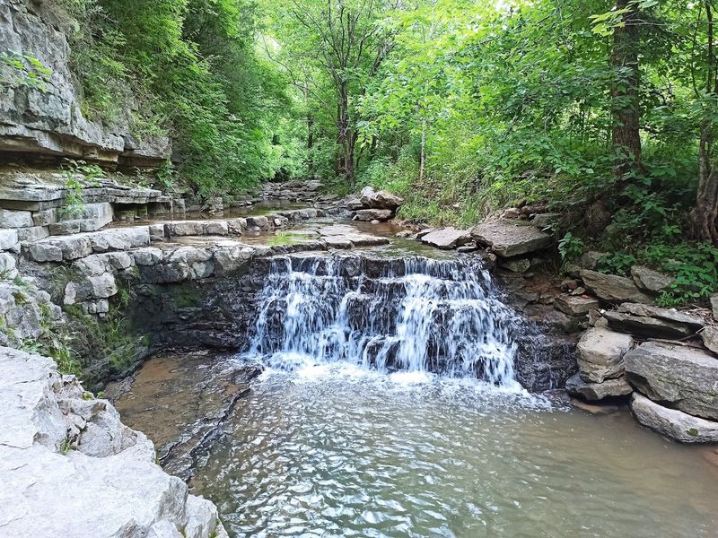 Cove Spring Park