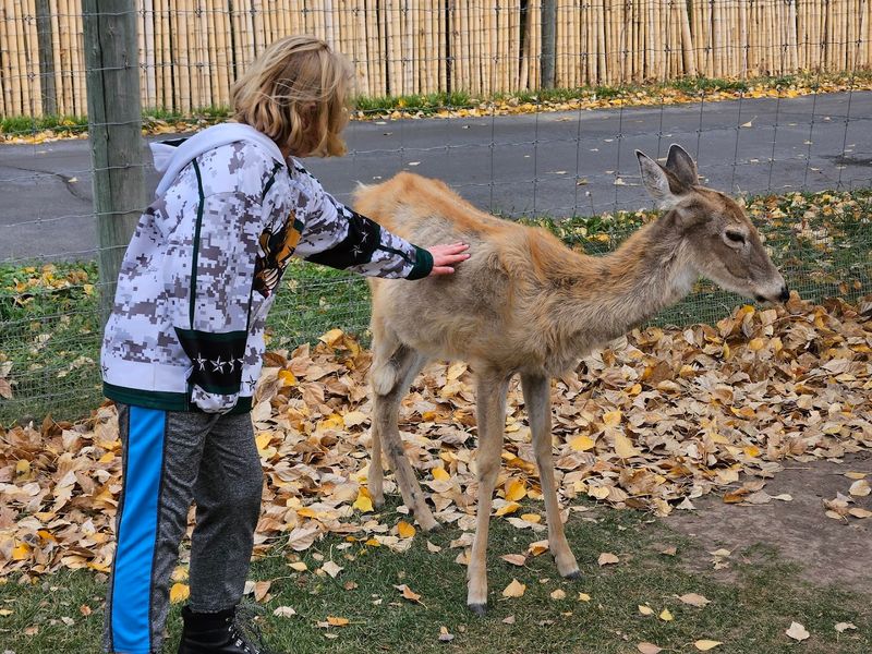 Turn A Rexburg Stop Into A Full Family Animal Adventure