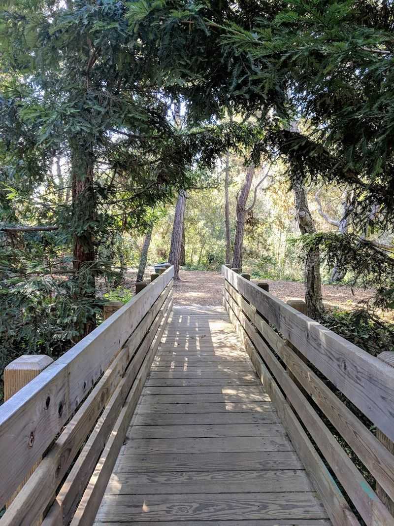 Mission Trail Nature Preserve Brings A Quiet Wooded Side