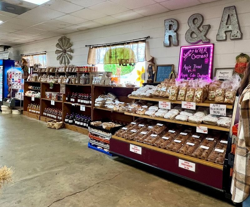 This Charming North Georgia Orchard Pairs You-Pick Fruit With Sweeping Mountain Views - Decor Hint Fried Apple Pies That Deserve Their Own Fan Club