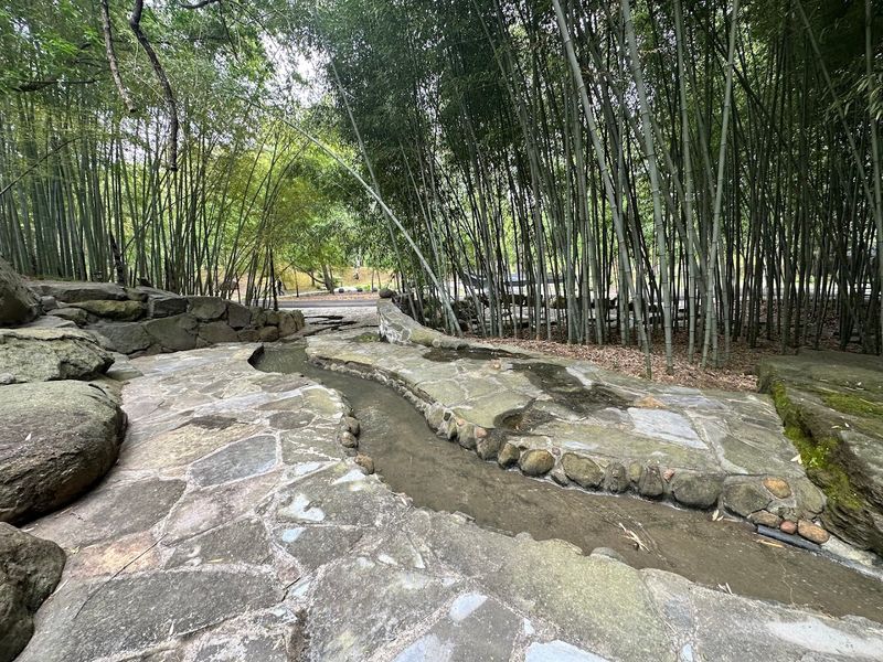 The Bamboo Forest Experience