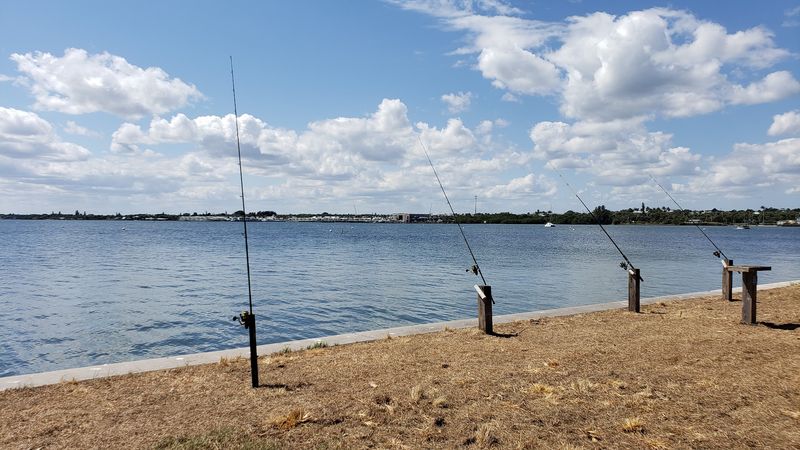 Fishing That Actually Delivers