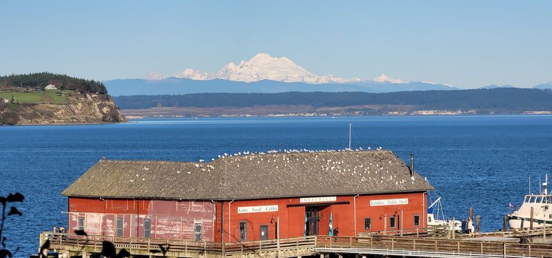 Seafood Lovers Need To Know About This Adorable Little Washington Town - Decor Hint The Place That Takes Its Seafood Seriously