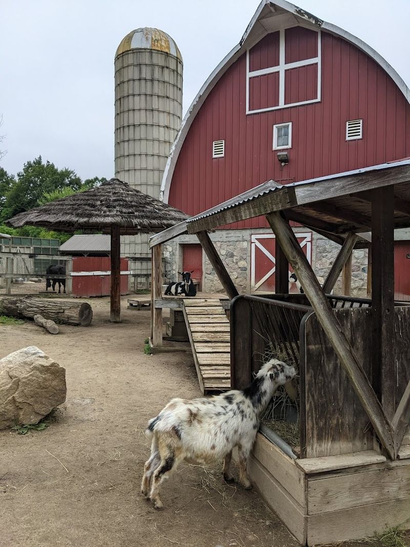 This Hidden Zoo In Michigan Is The Family Day Trip Most People Don't Know About - Decor Hint Farmyard EdVentures For Hands-On Animal Fun