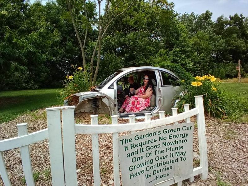 Friendly Volunteers And Staff Who Make Visitors Feel Genuinely Welcome