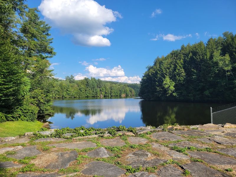 Picnicking With A View