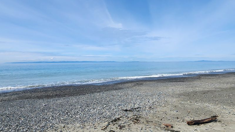Dungeness Spit