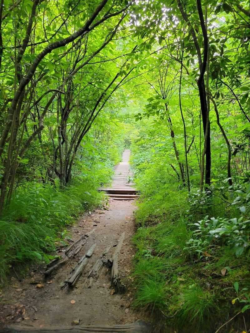 The Upper Falls Spur Adds More Adventure