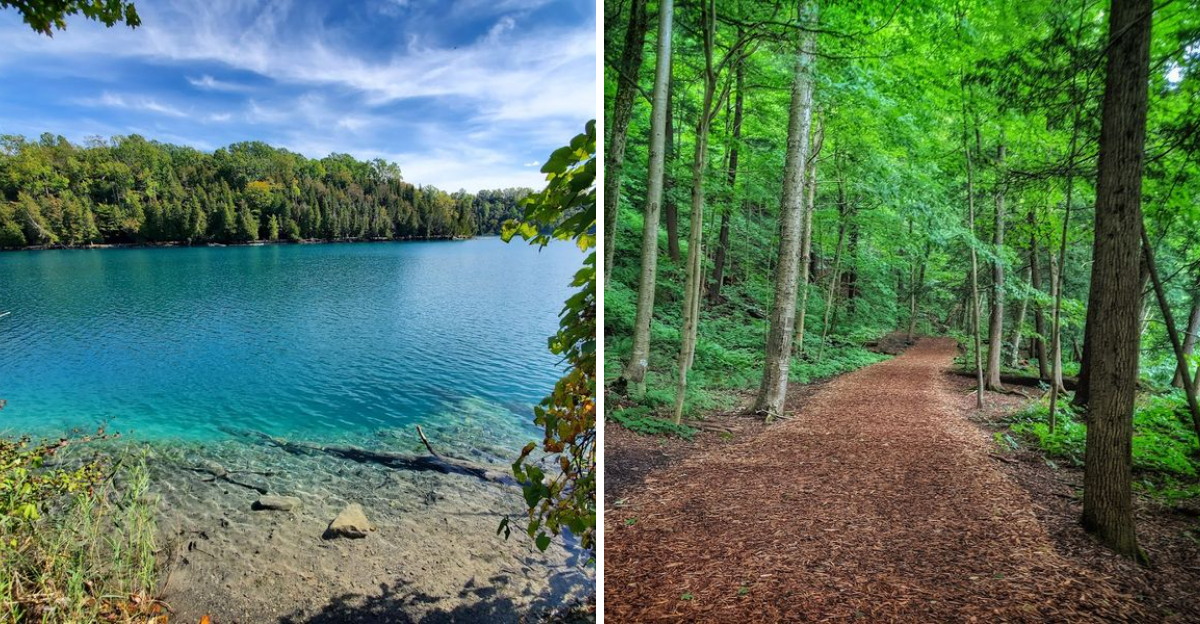 See Why This Crystal Clear New York Pond Leaves Visitors Speechless - Decor Hint