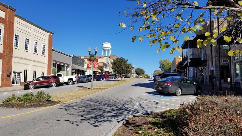 Alive In Senoia Annual Festival