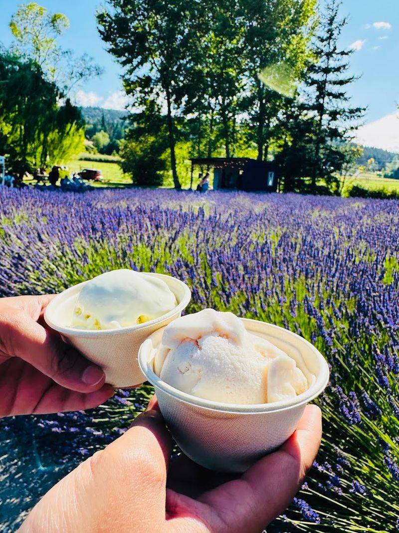 This Washington Lavender Farm Is The Summer Escape You Cannot Miss - Decor Hint The Olympic Peninsula Backdrop Makes Everything Better