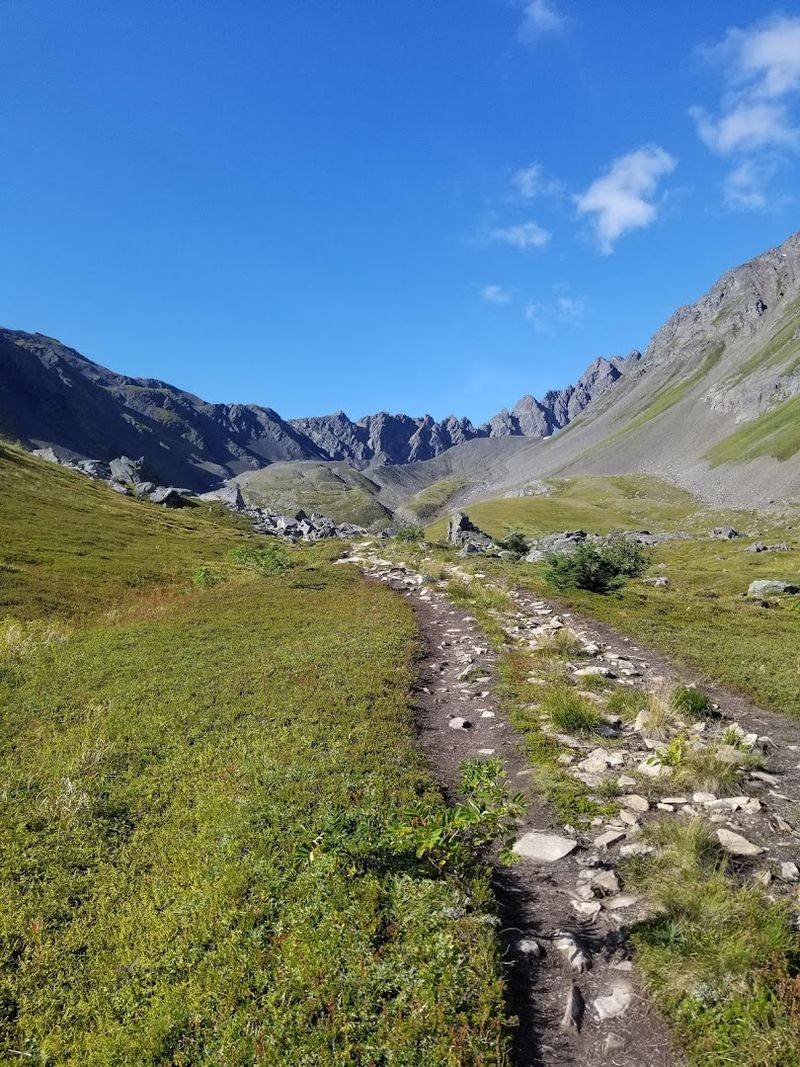 Mount Marathon And Race Day