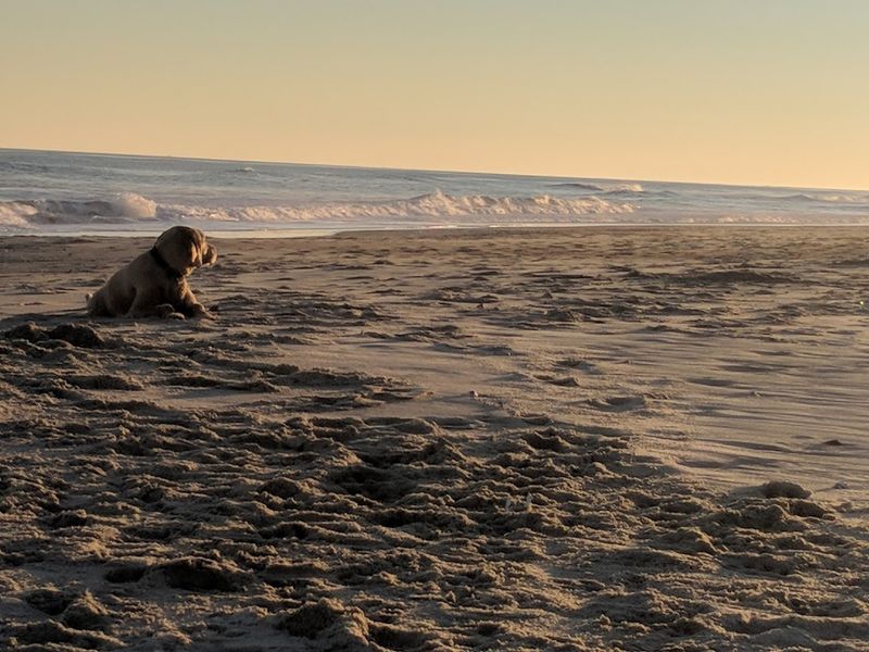 Ocracoke Island