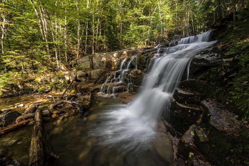 10 Florida Trails Where Easy Walks Lead To Surprisingly Unforgettable Views - Decor Hint Falling Waters Trail