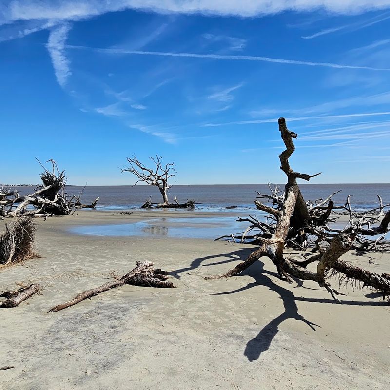 11 Georgia Coastal Beaches Where Seashell Hunters Strike Gold - Decor Hint Jekyll Island State Park Beach