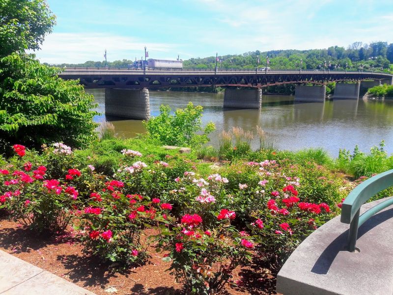 Owego, Tioga County