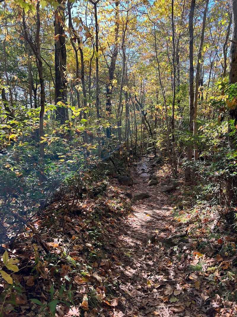 Mary's Rock, Shenandoah National Park, Page/Rappahannock County Border