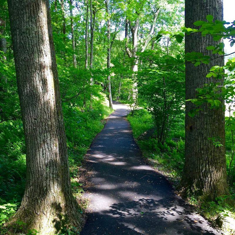 The Beauty Along This Virginia Lake Trail Makes The Whole Outing Worthwhile - Decor Hint Flat Top Trail, The Quiet Achiever