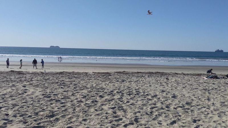 These 12 California Beaches Are Known For Sea Glass Or Interesting Shells - Decor Hint Silver Strand State Beach, Coronado