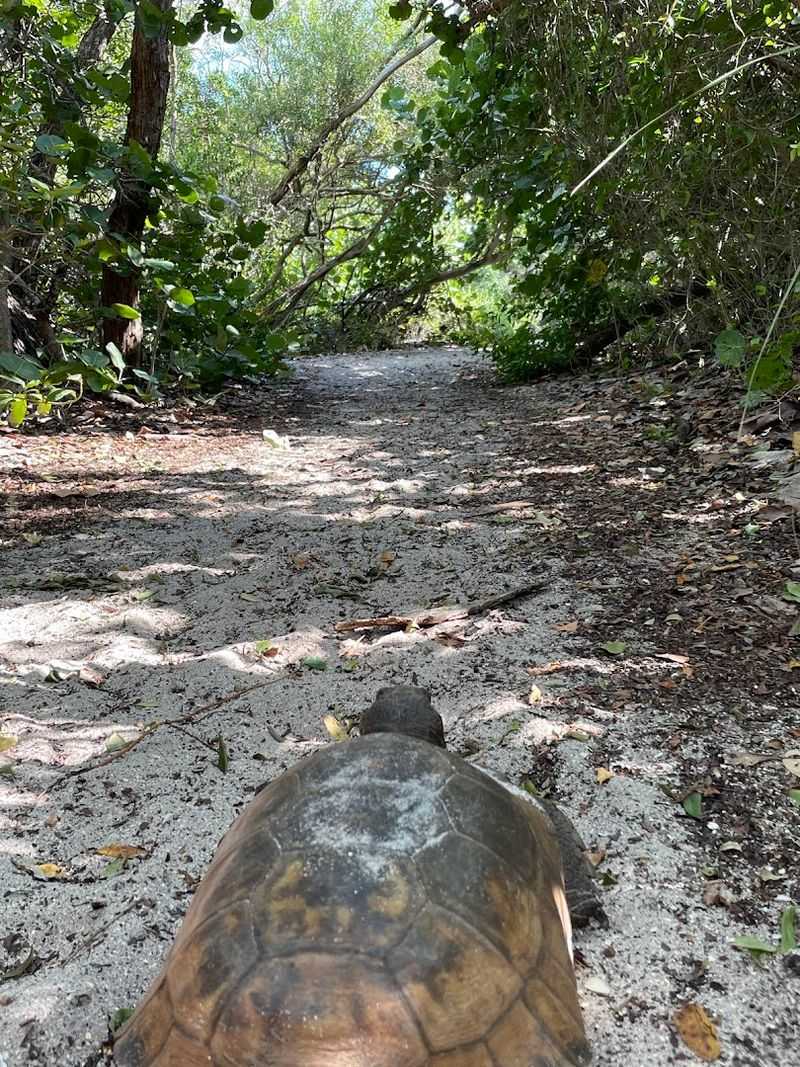 The 1.3-Mile Nature Trail Through Five Distinct Ecosystems