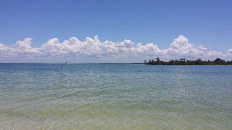 Swimming And Snorkeling In Clear Gulf Waters