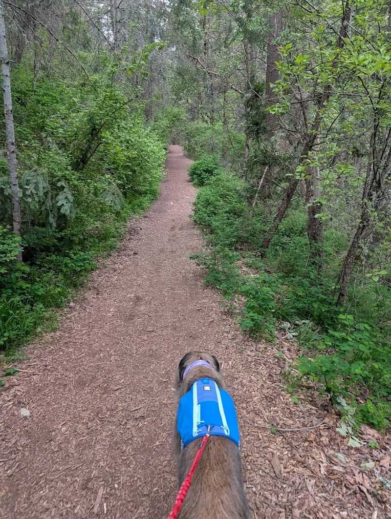Outdoor Adventures Start Right At The Edge Of Town