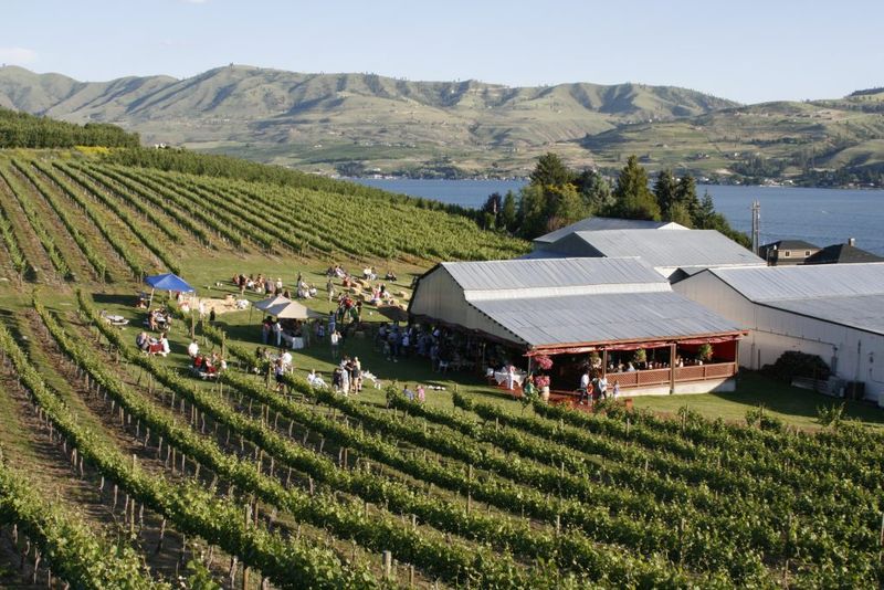 Wineries And Tasting Rooms Draw A Whole New Crowd