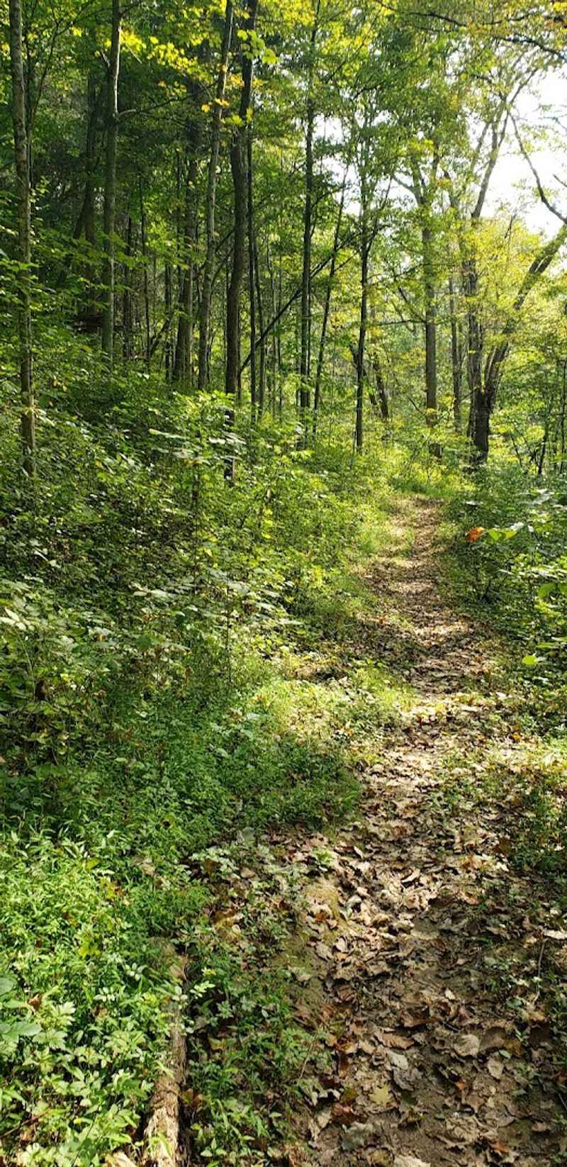 Quiet Trails State Nature Preserve