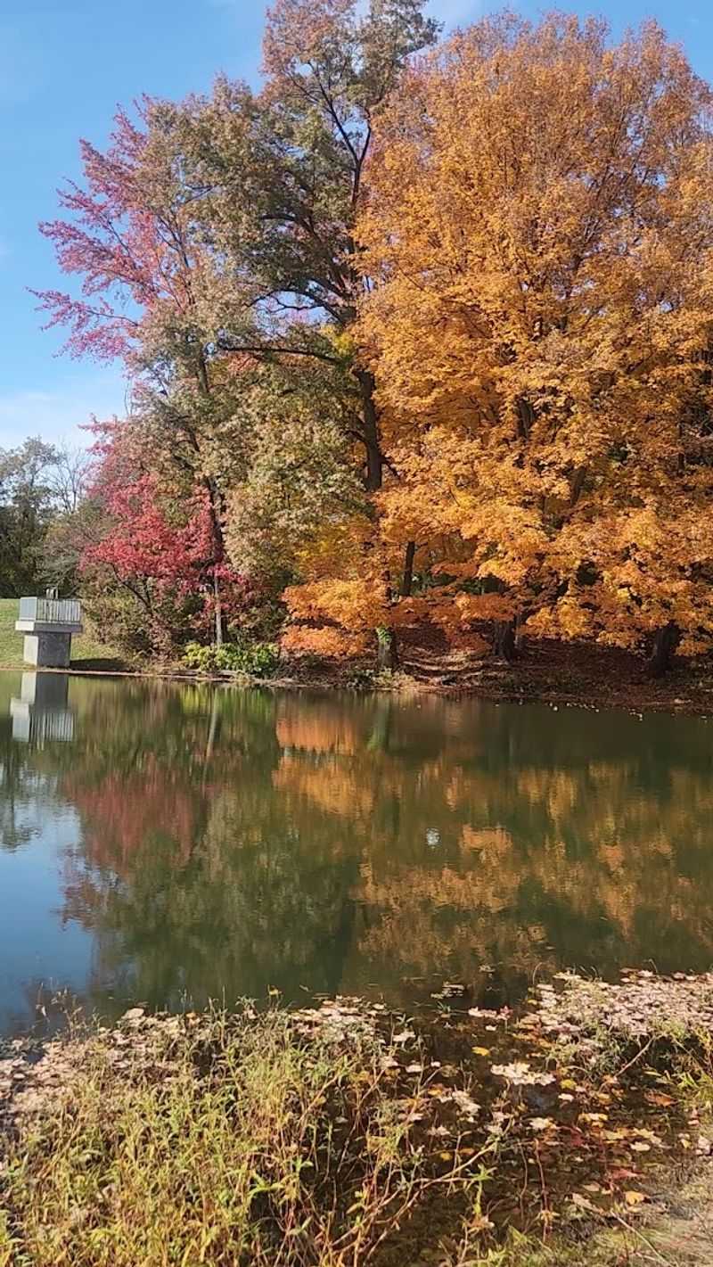 Wilderness Lake And Its Peaceful Waterside Scenery