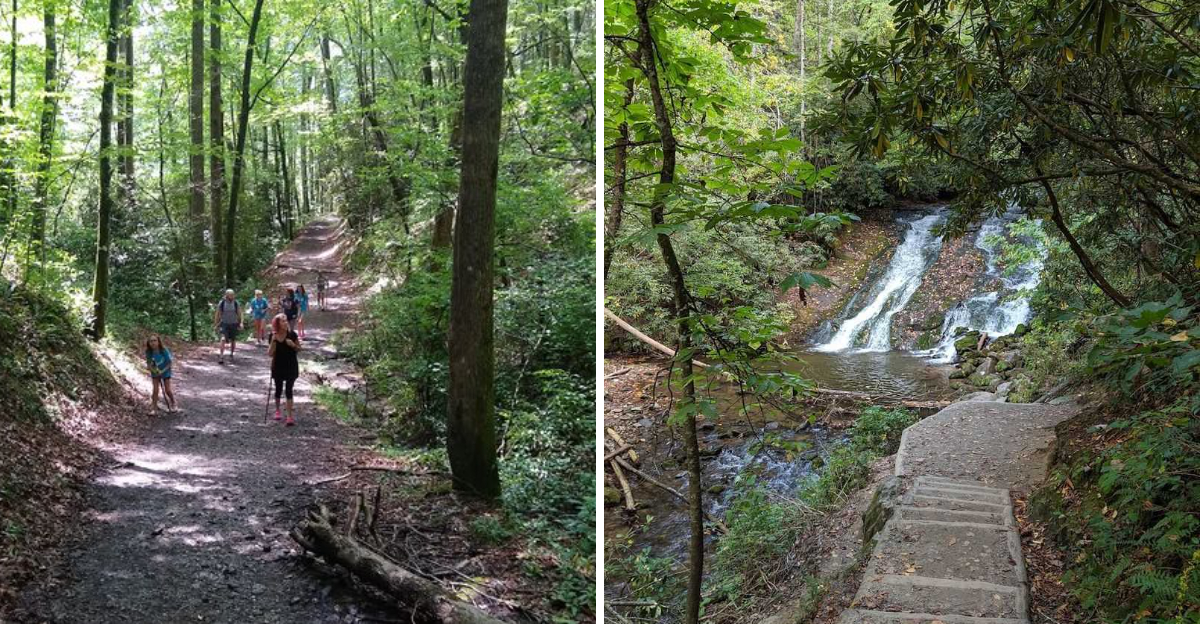 Skip The Trail Debate And Head For This North Carolina Path To Three Smoky Mountain Waterfalls - Decor Hint