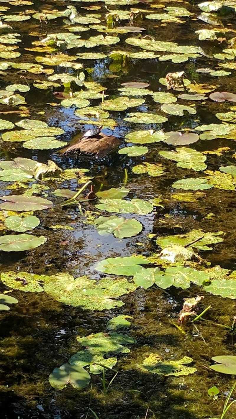 A Lovely Stop For Nature Fans