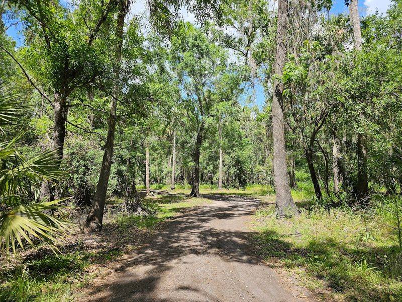The Tiny Florida Town Where Life Feels Slower, Softer, And Surprisingly Affordable - Decor Hint Peace River Park