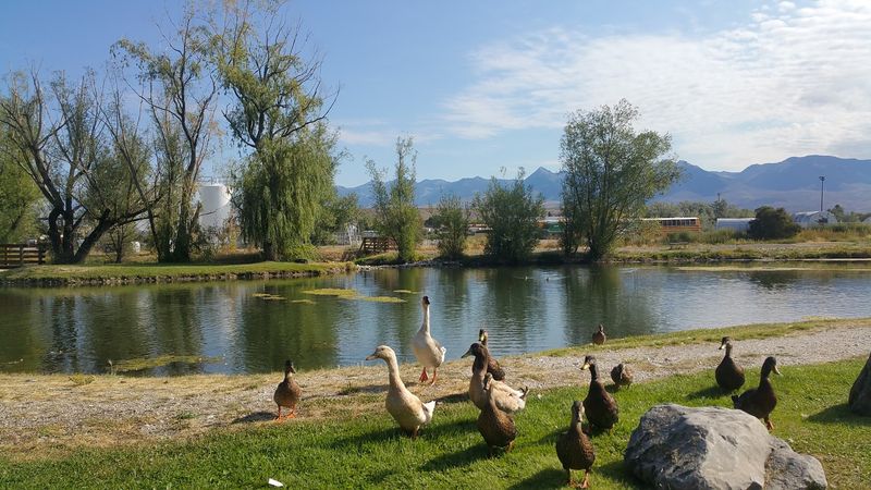 Wildlife And Wilderness At Your Doorstep