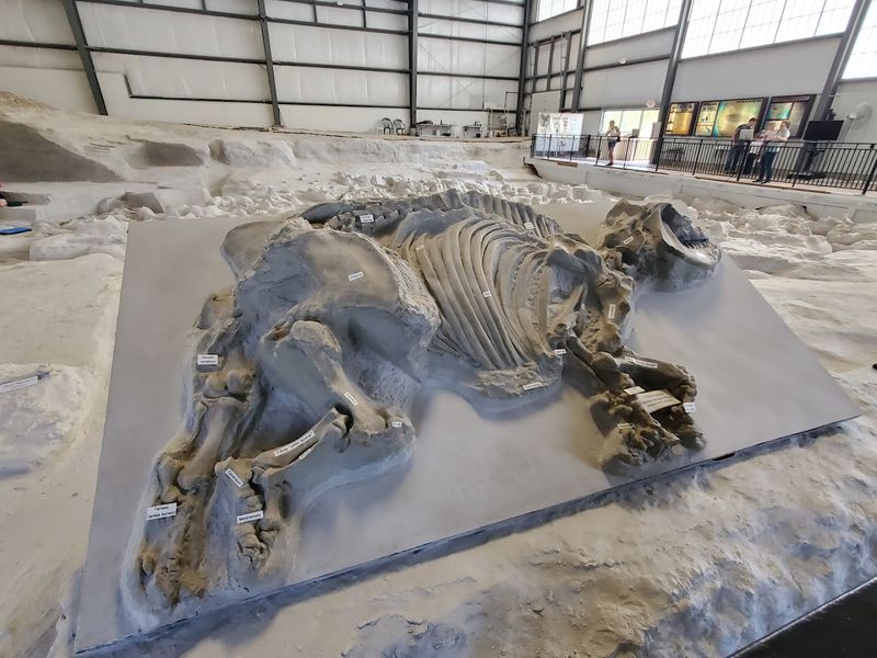 Ashfall Fossil Beds State Historical Park, Royal