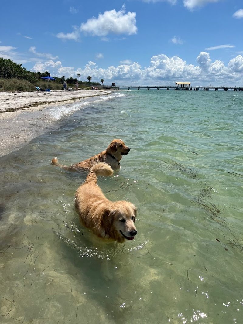 Fort De Soto Paw Beach, St. Petersburg