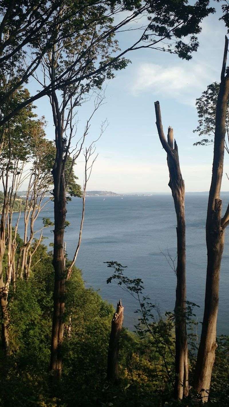 Discovery Park Loop