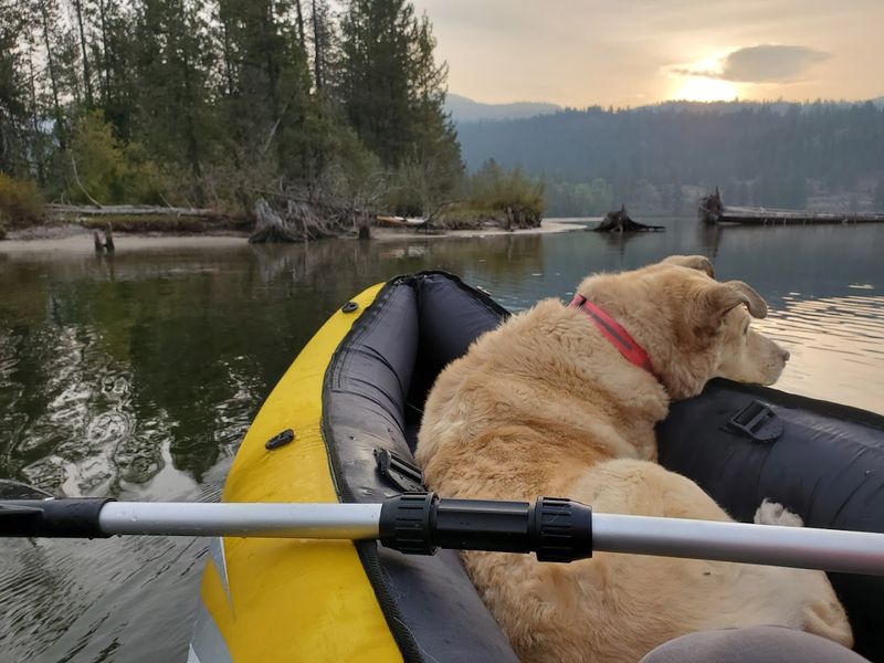 Summer On The Lake Brings A Softer Kind Of Magic