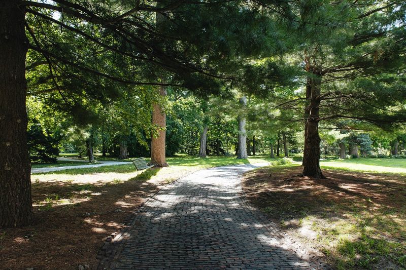 Forest Trails Give Guests A Peaceful Excuse To Wander Before Dinner