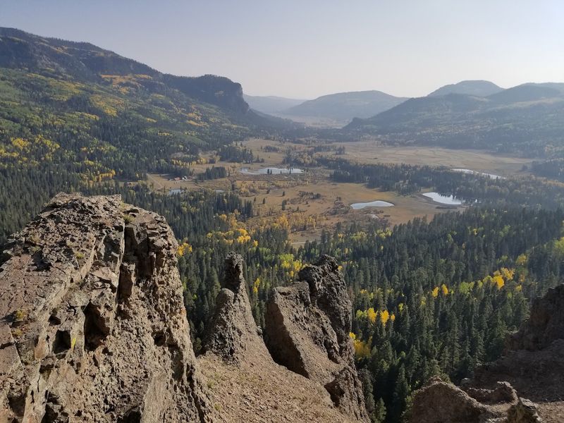 A Vast National Forest Right Outside Town