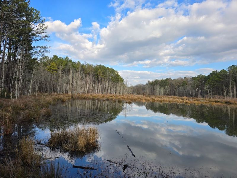 These 15 Georgia Birdwatching Spots Feel Like Hidden Premium Seats To Nature - Decor Hint Sams Lake Bird Sanctuary