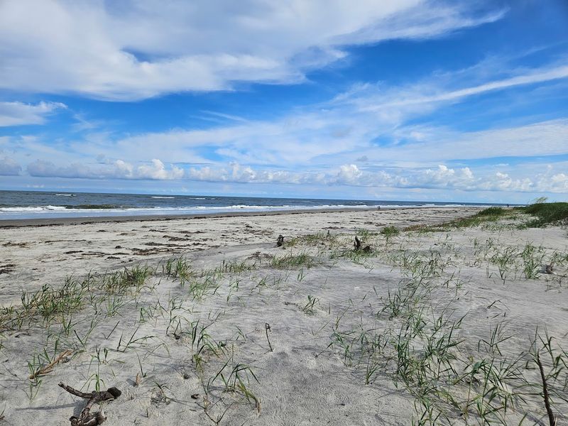 Little St. Simons Island Beach