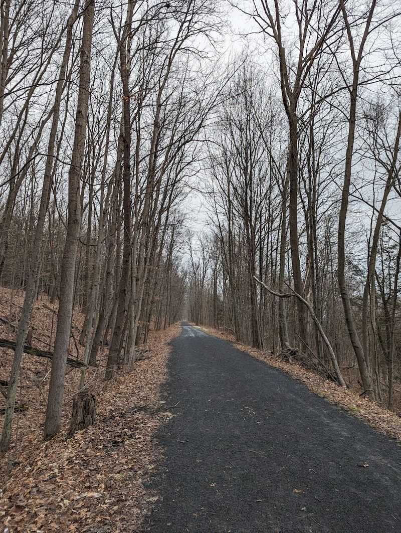 Leave The Crowds Behind On These 10 Dreamy New York Bike Routes - Decor Hint Black Diamond Trail