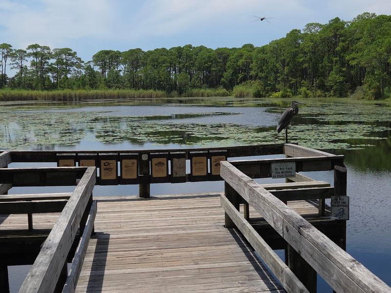 Audubon Bird Sanctuary Trail