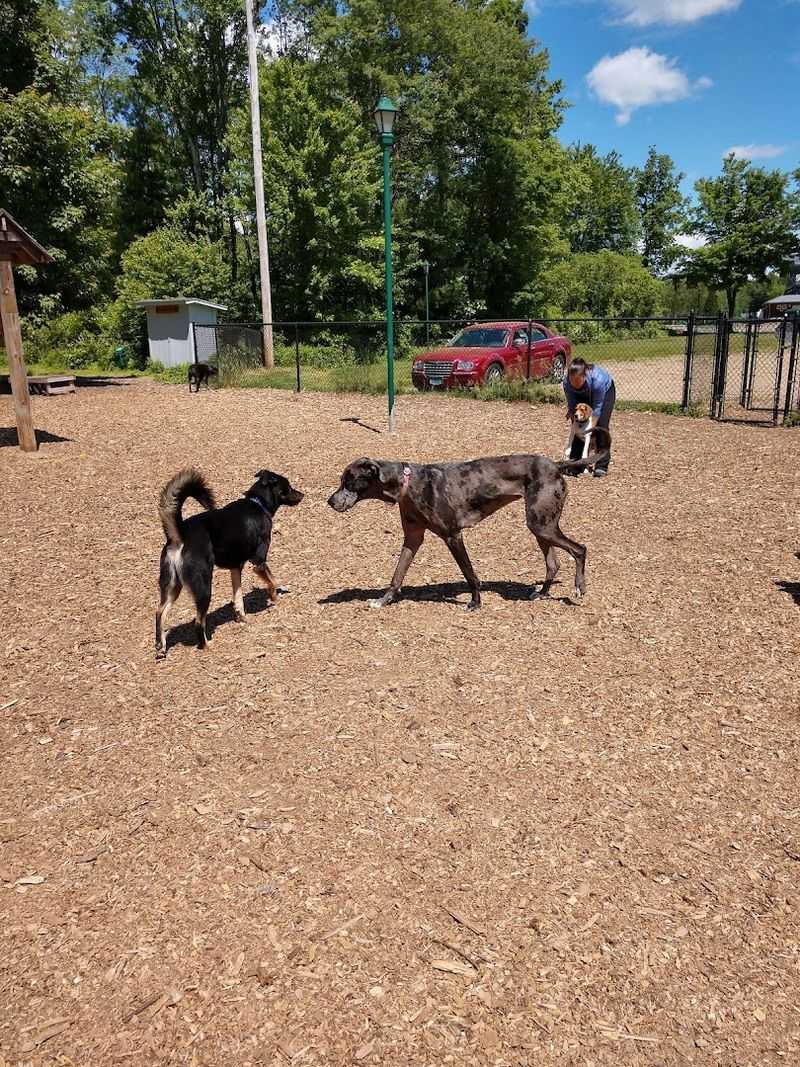 Paw Meadow Dog Park, Simsbury