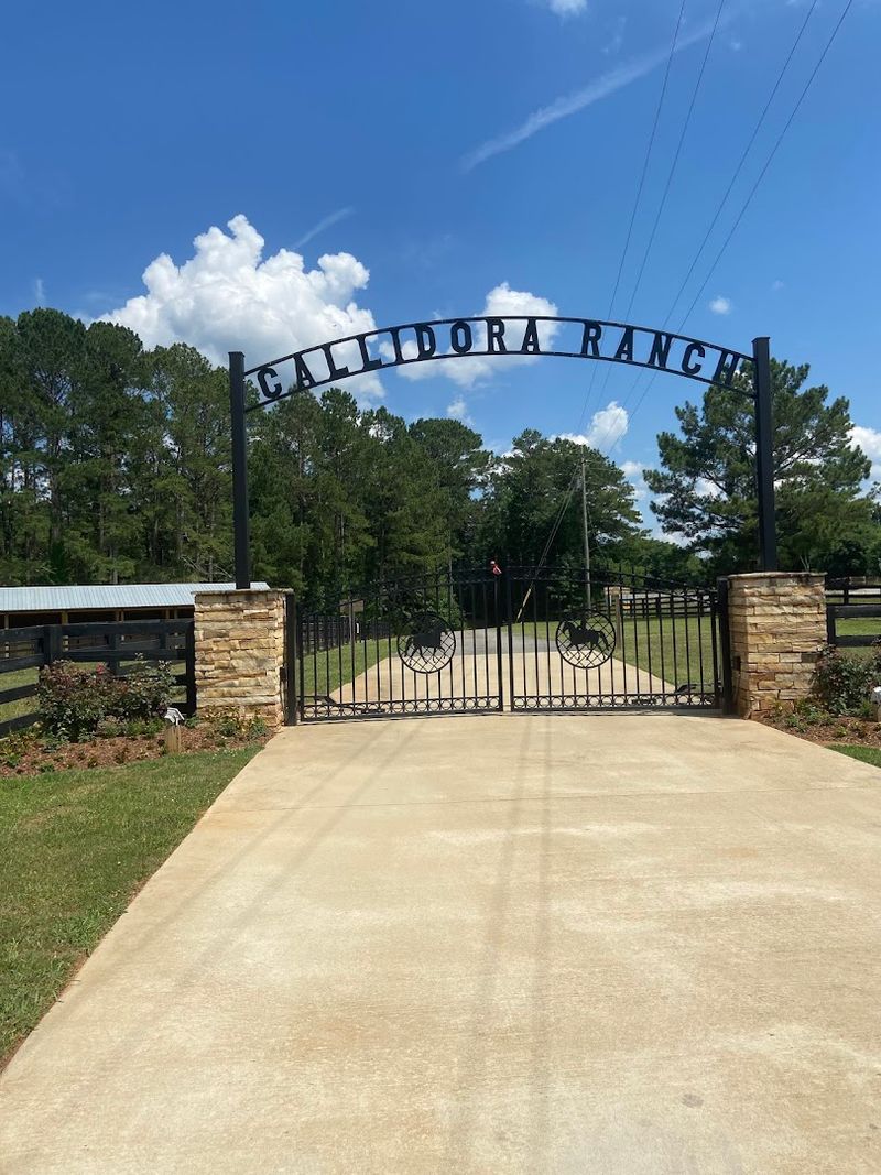 13 Family-Friendly Horseback Riding Ranches Across Georgia That Make A Weekend Feel More Adventurous - Decor Hint Callidora Ranch