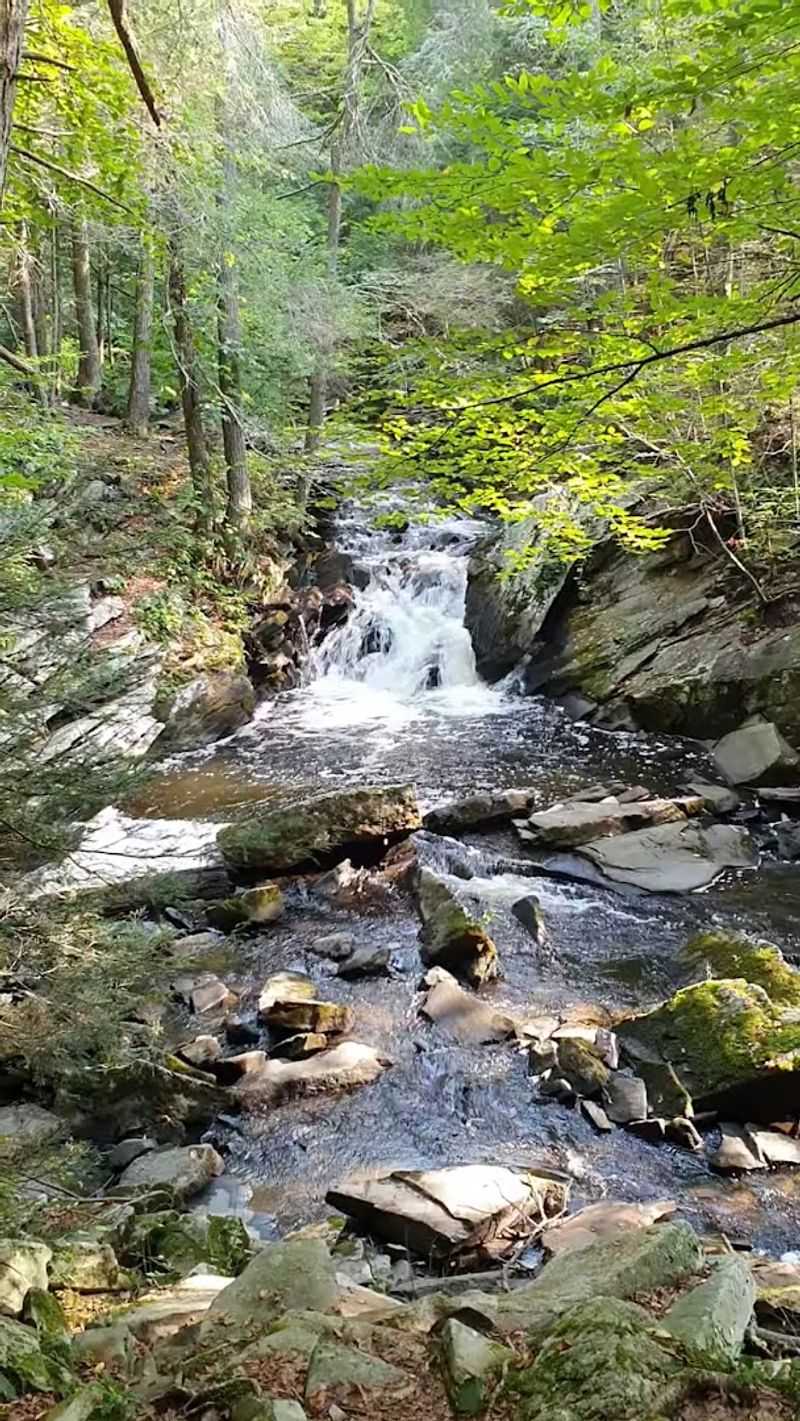 Saugatuck Falls Natural Area
