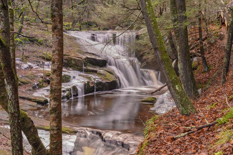 Enders State Forest
