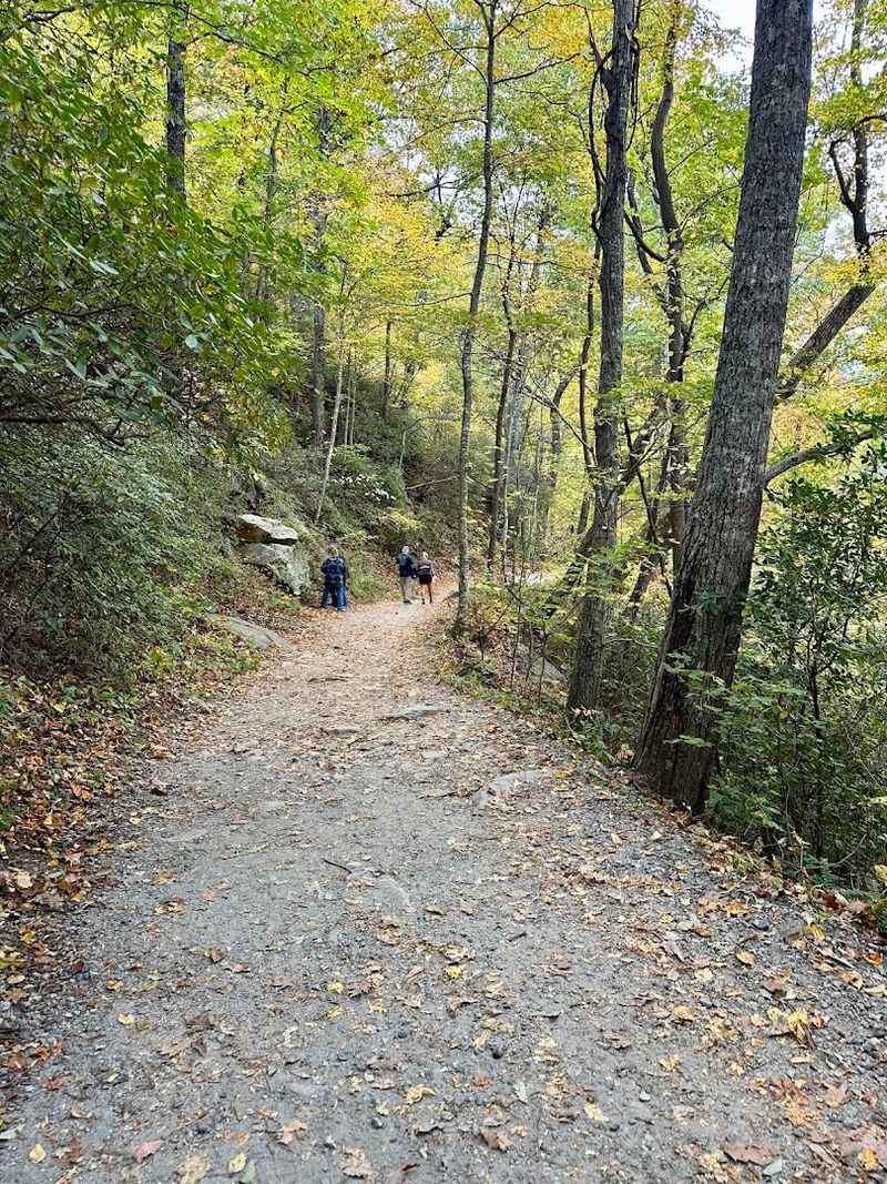 Lake Lure And Hickory Nut Gorge Drive