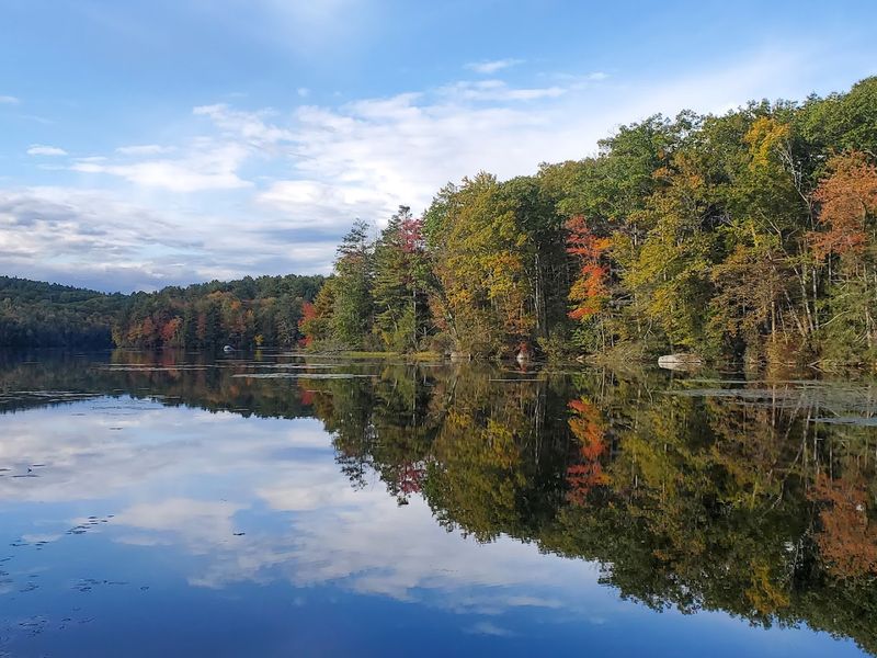 10 Connecticut Swimming Spots With Clear Blue Water Ideal For Summer 2026 - Decor Hint Burr Pond State Park, Torrington