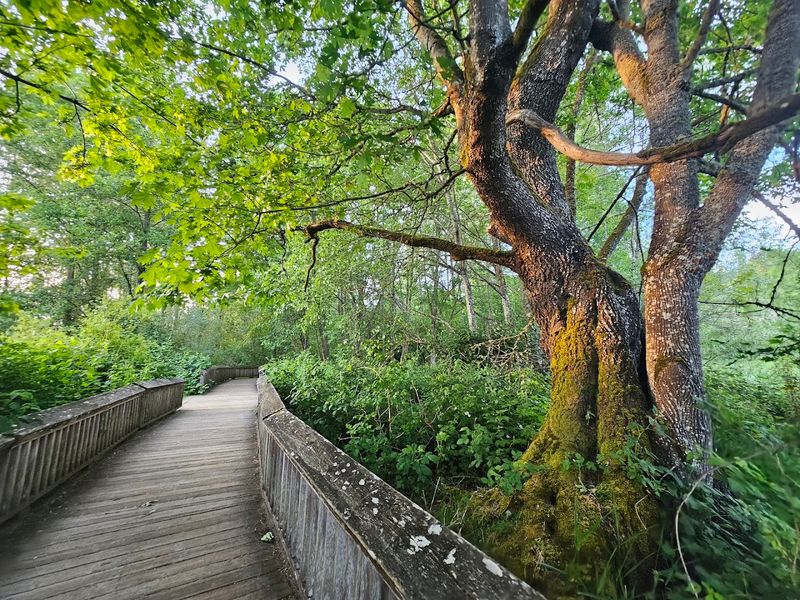 Billy Frank Jr. Nisqually National Wildlife Refuge